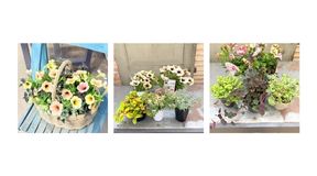 花材オンライン抽選販売