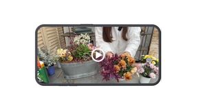 YouTubeライブ配信