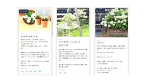 オススメ植物図鑑